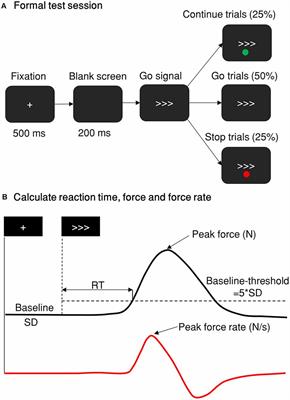 To Go or Not to Go: Degrees of Dynamic Inhibitory Control Revealed by the Function of Grip Force and Early Electrophysiological Indices